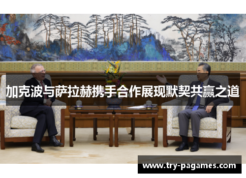 加克波与萨拉赫携手合作展现默契共赢之道 加克波与萨拉赫携手合作展现默契共赢之道