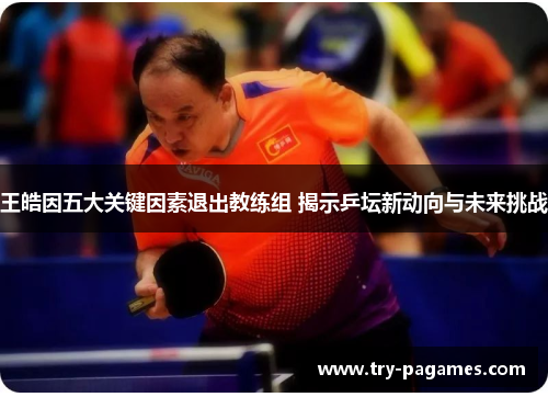 王皓因五大关键因素退出教练组 揭示乒坛新动向与未来挑战 王皓因五大关键因素退出教练组 揭示乒坛新动向与未来挑战