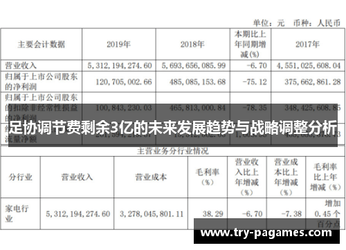 足协调节费剩余3亿的未来发展趋势与战略调整分析 足协调节费剩余3亿的未来发展趋势与战略调整分析