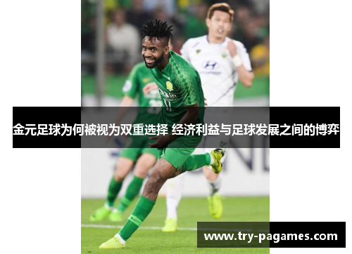 金元足球为何被视为双重选择 经济利益与足球发展之间的博弈 金元足球为何被视为双重选择 经济利益与足球发展之间的博弈