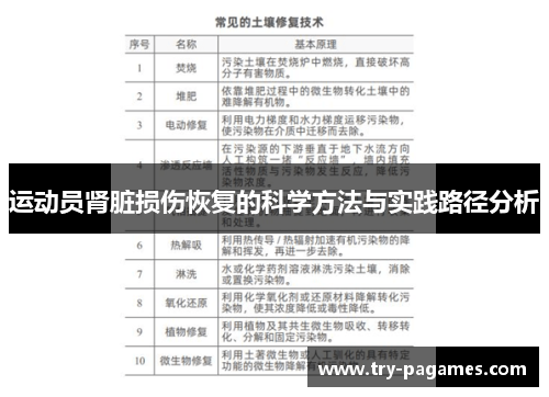 运动员肾脏损伤恢复的科学方法与实践路径分析 运动员肾脏损伤恢复的科学方法与实践路径分析