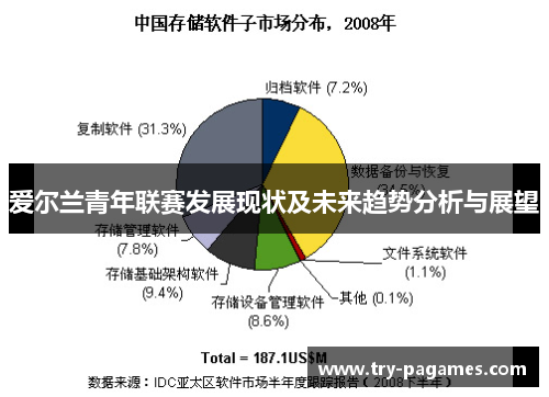 爱尔兰青年联赛发展现状及未来趋势分析与展望